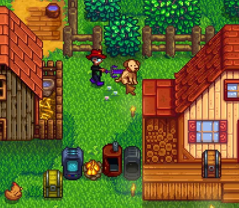 stardew valley attacking dog