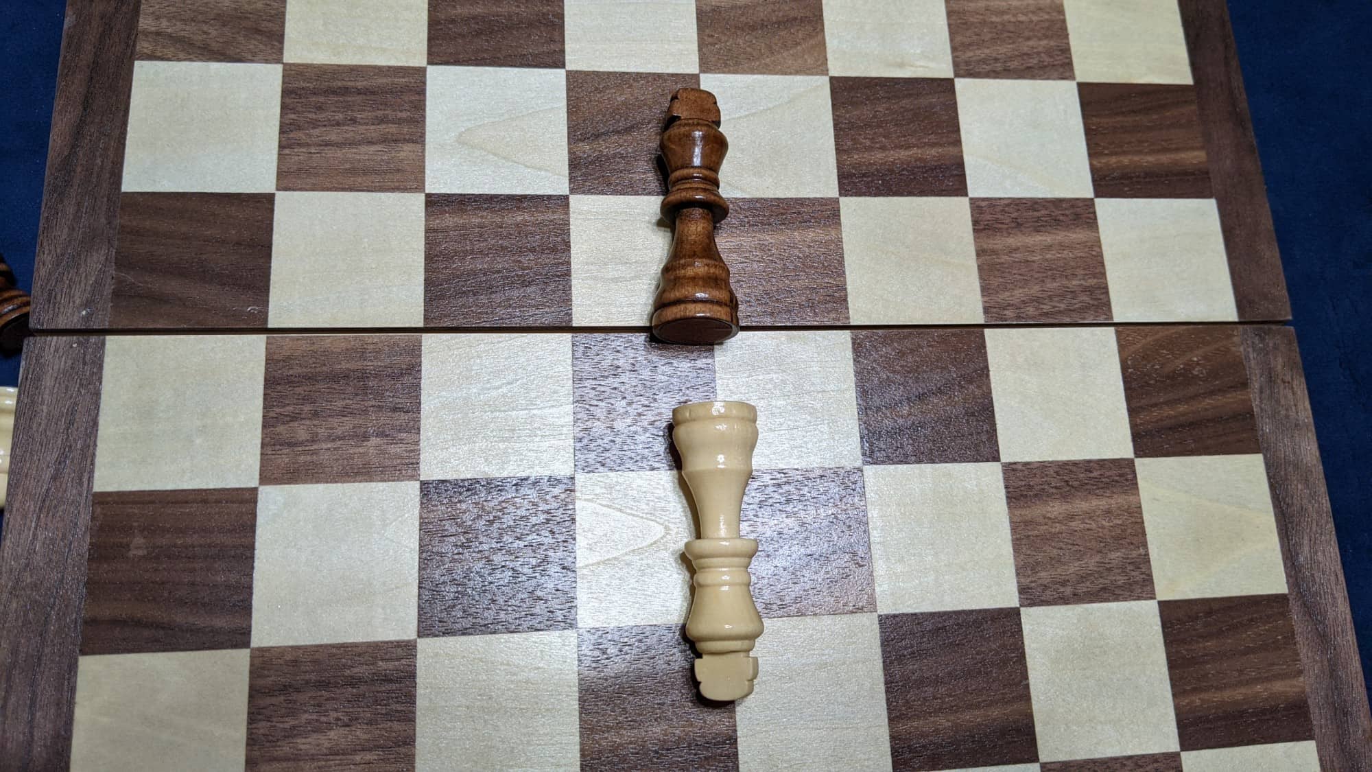 two chess kings conceding