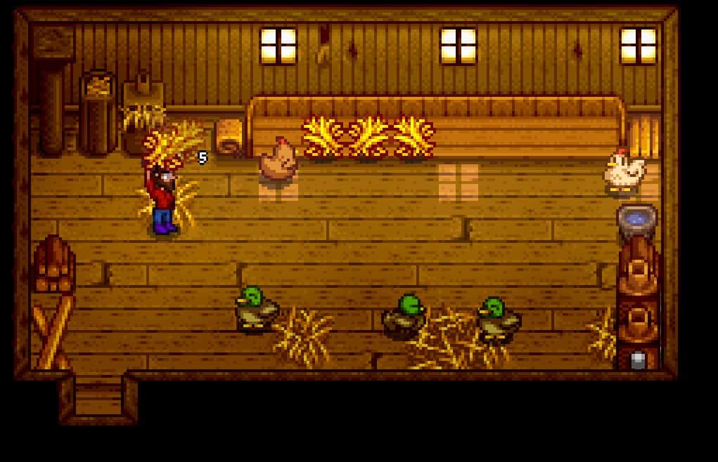 farmer with hay in chicken coop stardew valley