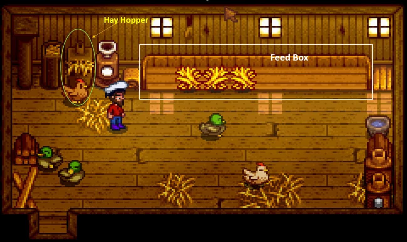 Chickens in Stardew Valley Your Complete Guide Assorted Meeples