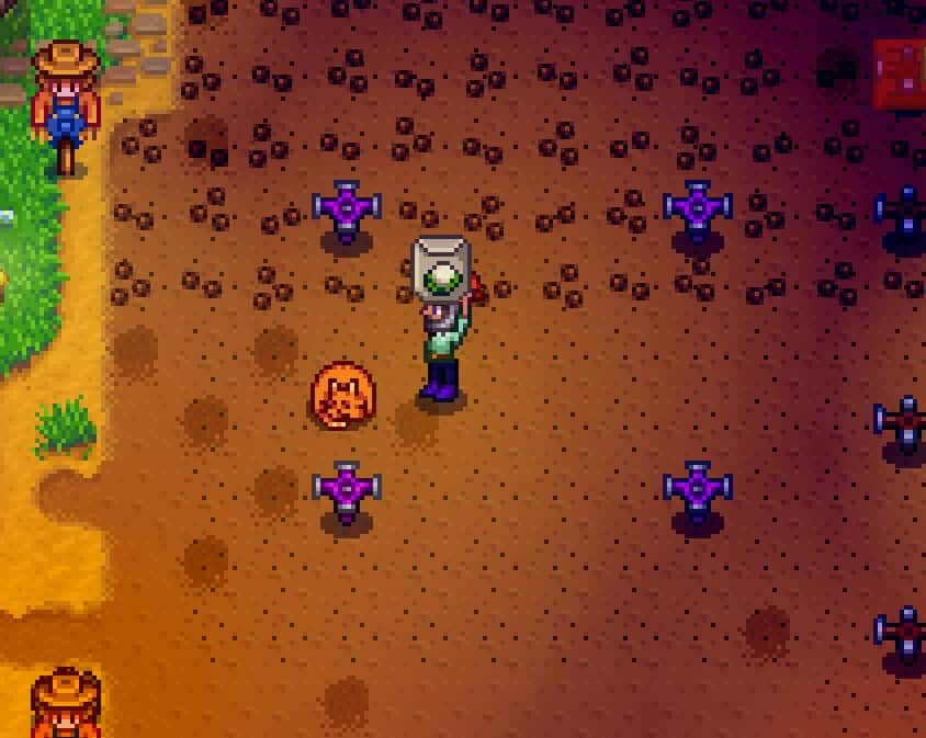 do you need to feed your dog in stardew valley