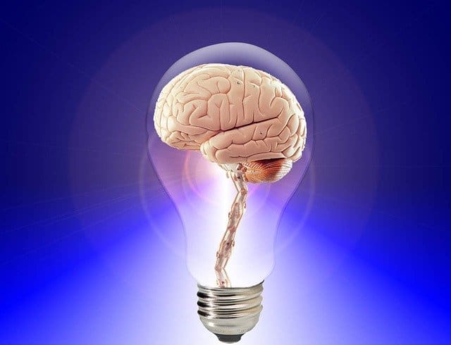 keen mind brain in lightbulb