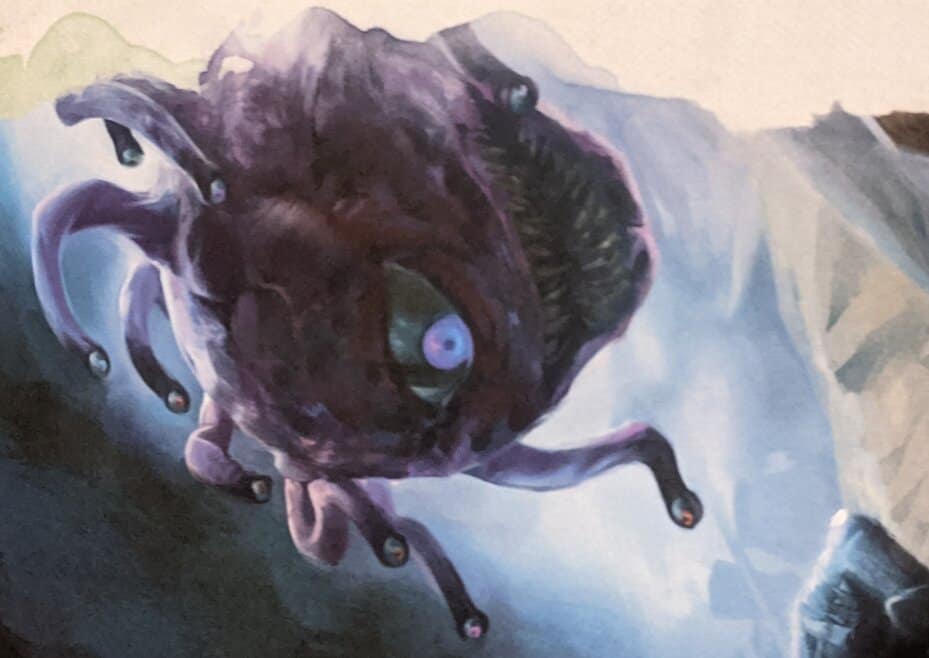 Beholder 5E