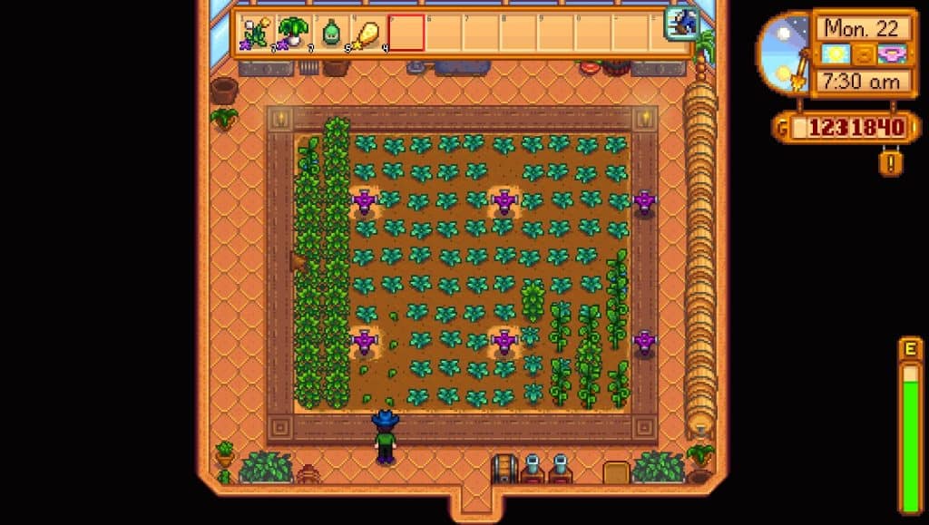 Stardew Valley Optimal Greenhouse Layout