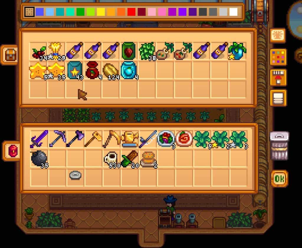 Rare Seeds Greenhouse Stardew Valley