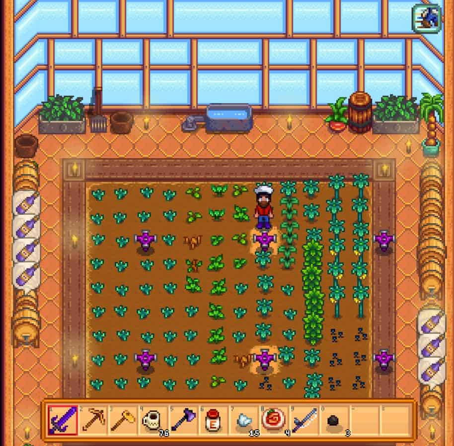 Sweet Gem Berry Plants in Greenhouse Stardew Valley