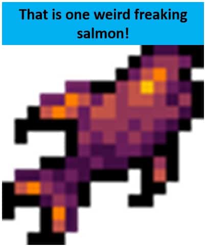 void salmon stardew valley