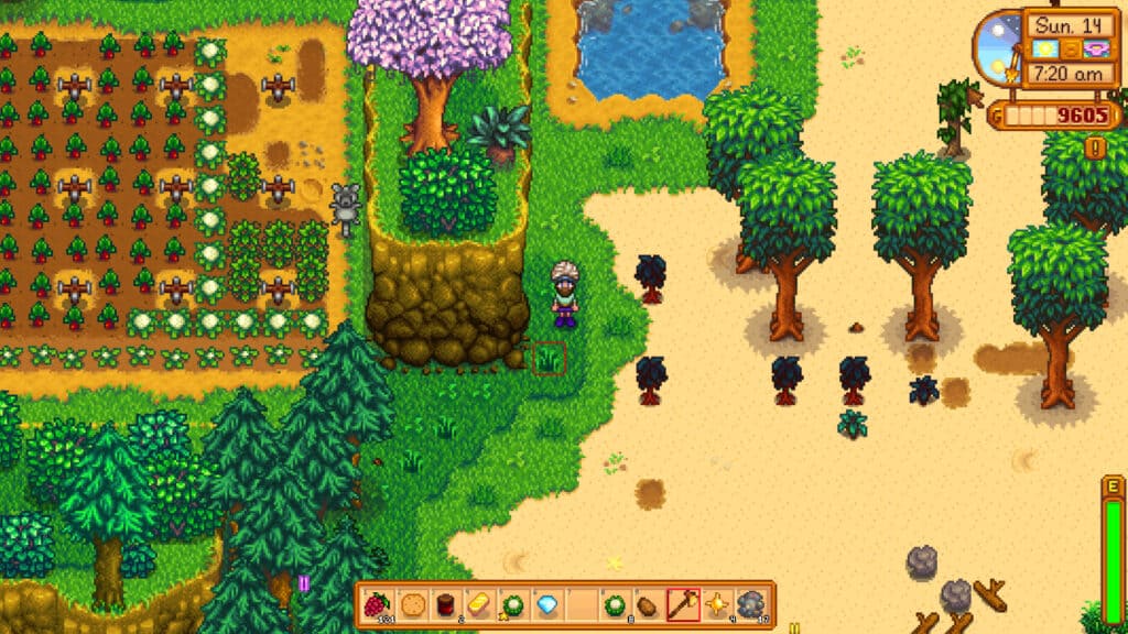 Mahogany Tree Beach Farm Stardew