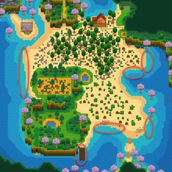 stardew beach map crab locations