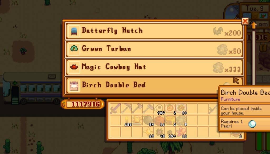 Desert Merchant Stardew