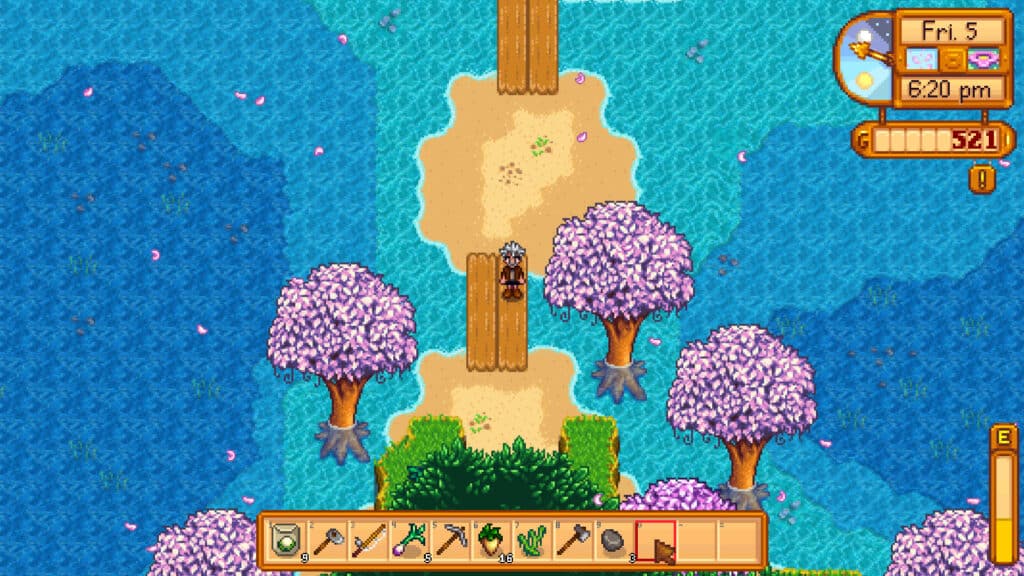 beach farm stardew valley