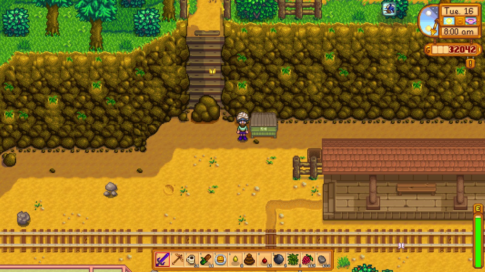 What Is The Stardew Valley Earthquake? Assorted Meeples