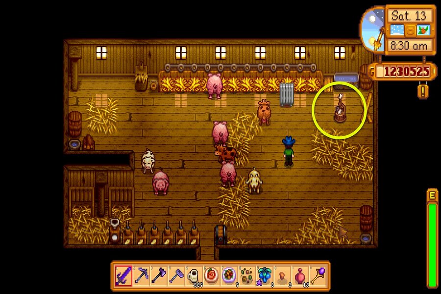 stardew valley auto petter in barn